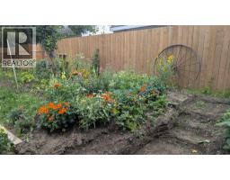 5028 52 Street, Provost, AB T0B3S0 Photo 28