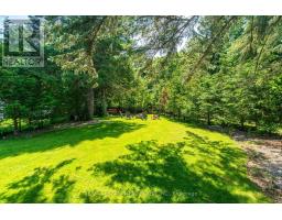54 Selkirk Street, Haldimand, ON N3W1J4 Photo 44