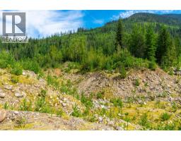 5597 Avoca Road, Malakwa, BC V0E2J0 Photo 15