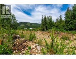5597 Avoca Road, Malakwa, BC V0E2J0 Photo 17