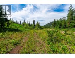5597 Avoca Road, Malakwa, BC V0E2J0 Photo 18