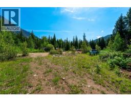 5597 Avoca Road, Malakwa, BC V0E2J0 Photo 19