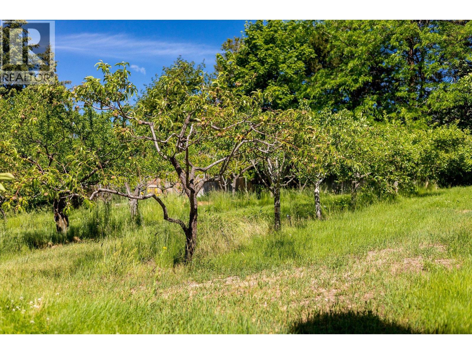 14924 Middle Bench Road - 62