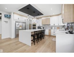 Recreation room - 304 33 Av Nw, Edmonton, AB T6T2V8 Photo 15