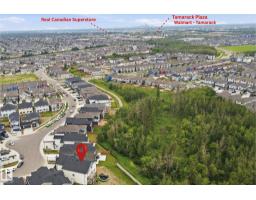 304 33 Av Nw, Edmonton, AB T6T2V8 Photo 63