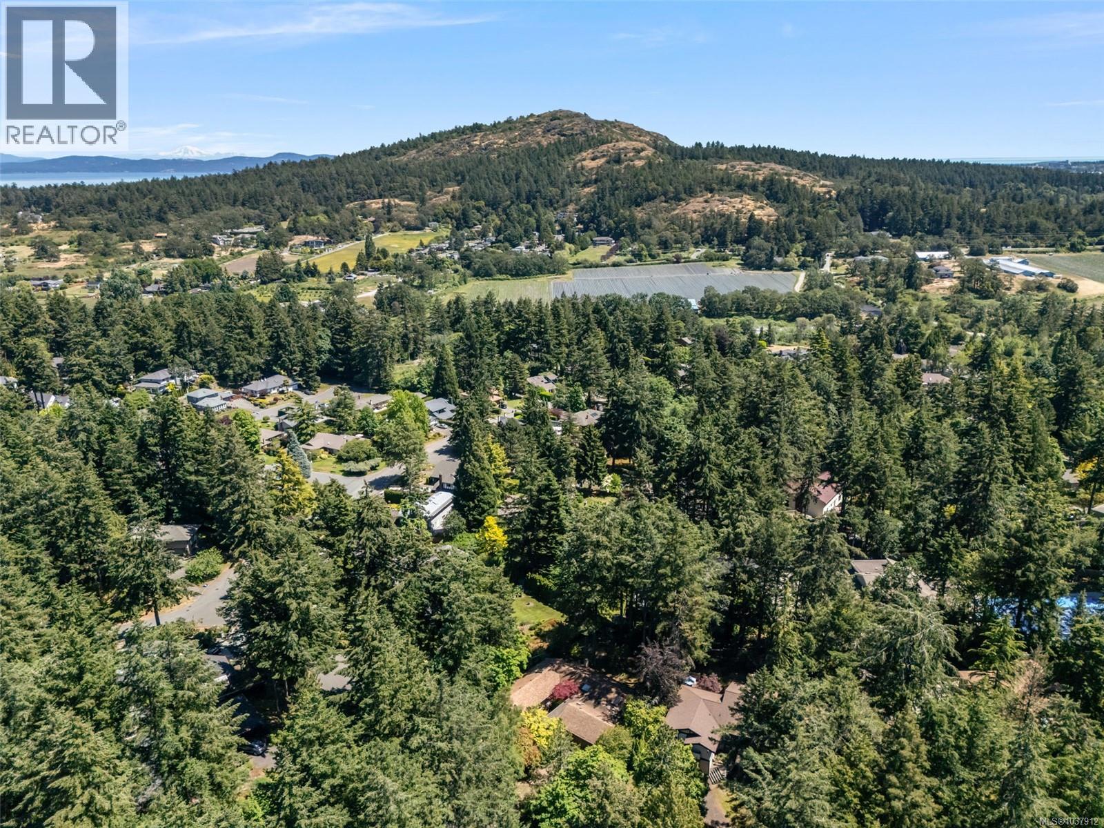 4489 Cottontree Lane - 32
