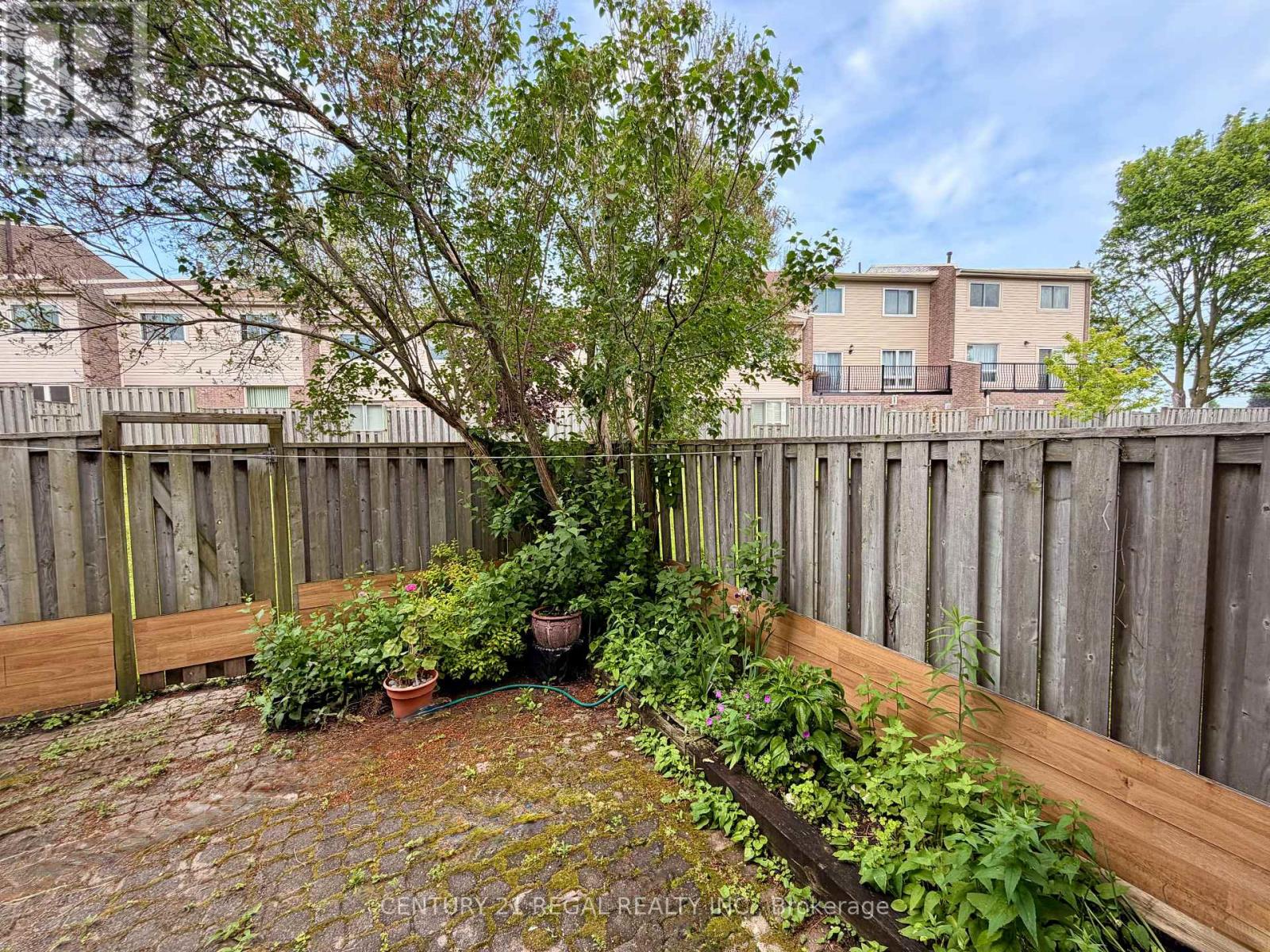 8 CHAMBERLAIN COURT - 24