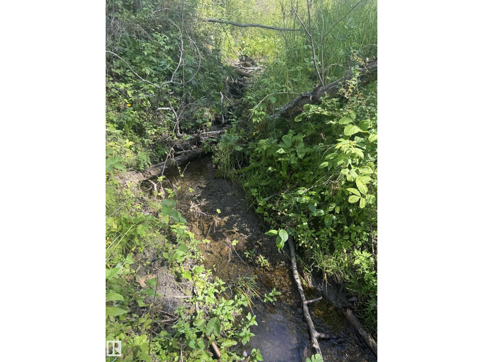 22080 TWP ROAD 463A - Photo 22