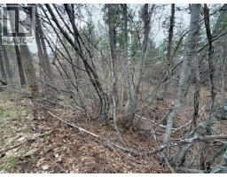 7974 Briarwood Road, Kelowna, BC V1Z3V7 Photo 13