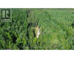 796331 East Back Line, Chatsworth, ON N0H1C0 Photo 6