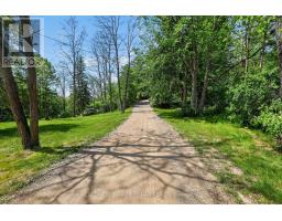 2946 Concession Rd 3, Adjala Tosorontio, ON L0G1L0 Photo 43