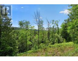 2946 Concession Rd 3, Adjala Tosorontio, ON L0G1L0 Photo 37
