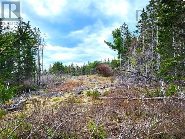 Property 10 of 25 of Lot Back Road