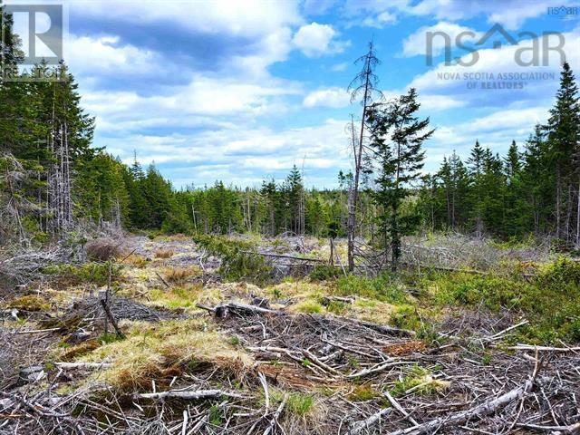 Property 12 of 25 of Lot Back Road