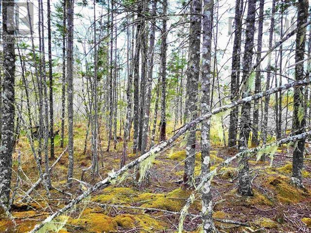 Property 14 of 25 of Lot Back Road