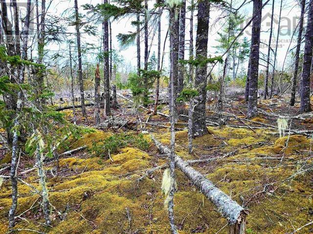Property 16 of 25 of Lot Back Road