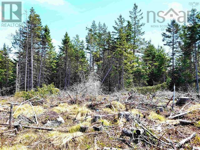 Property 17 of 25 of Lot Back Road