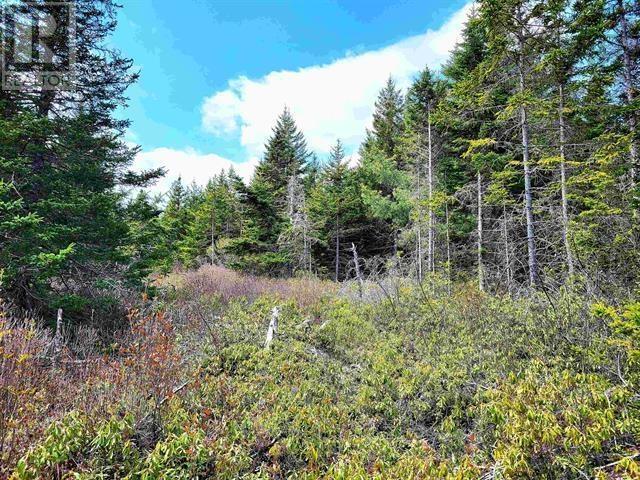 Property 20 of 25 of Lot Back Road