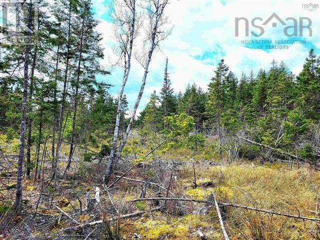 Property 22 of 25 of Lot Back Road