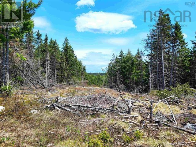 Property 23 of 25 of Lot Back Road