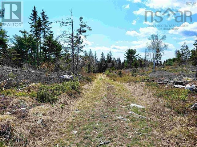 Property 24 of 25 of Lot Back Road