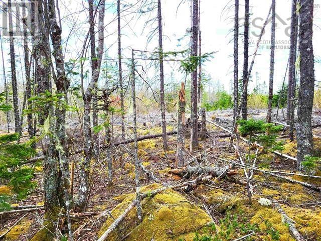 Property 25 of 25 of Lot Back Road
