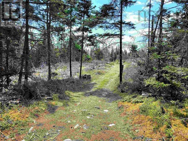 Property 4 of 25 of Lot Back Road