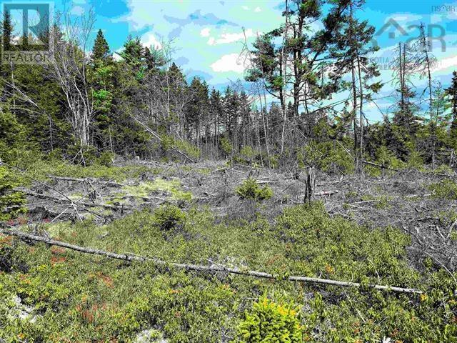 Property 9 of 25 of Lot Back Road