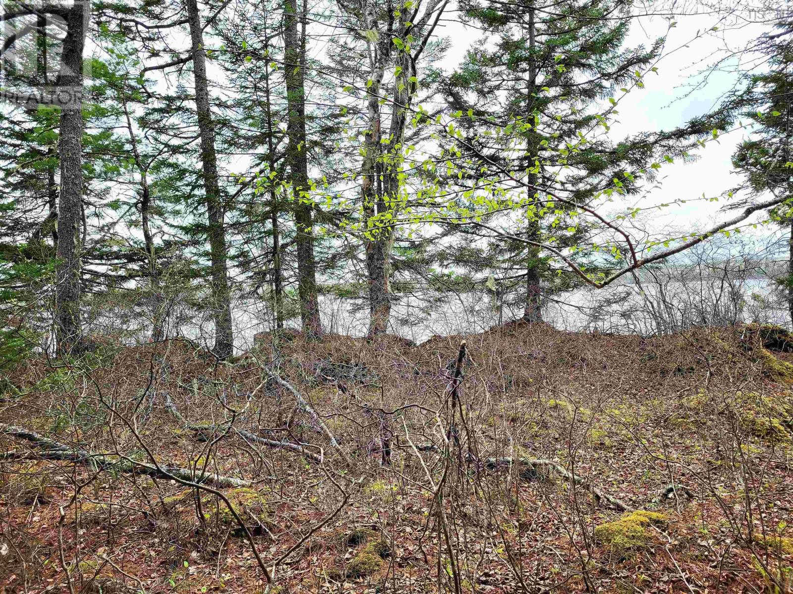 Property 21 of 32 of Lot Hirtle Road