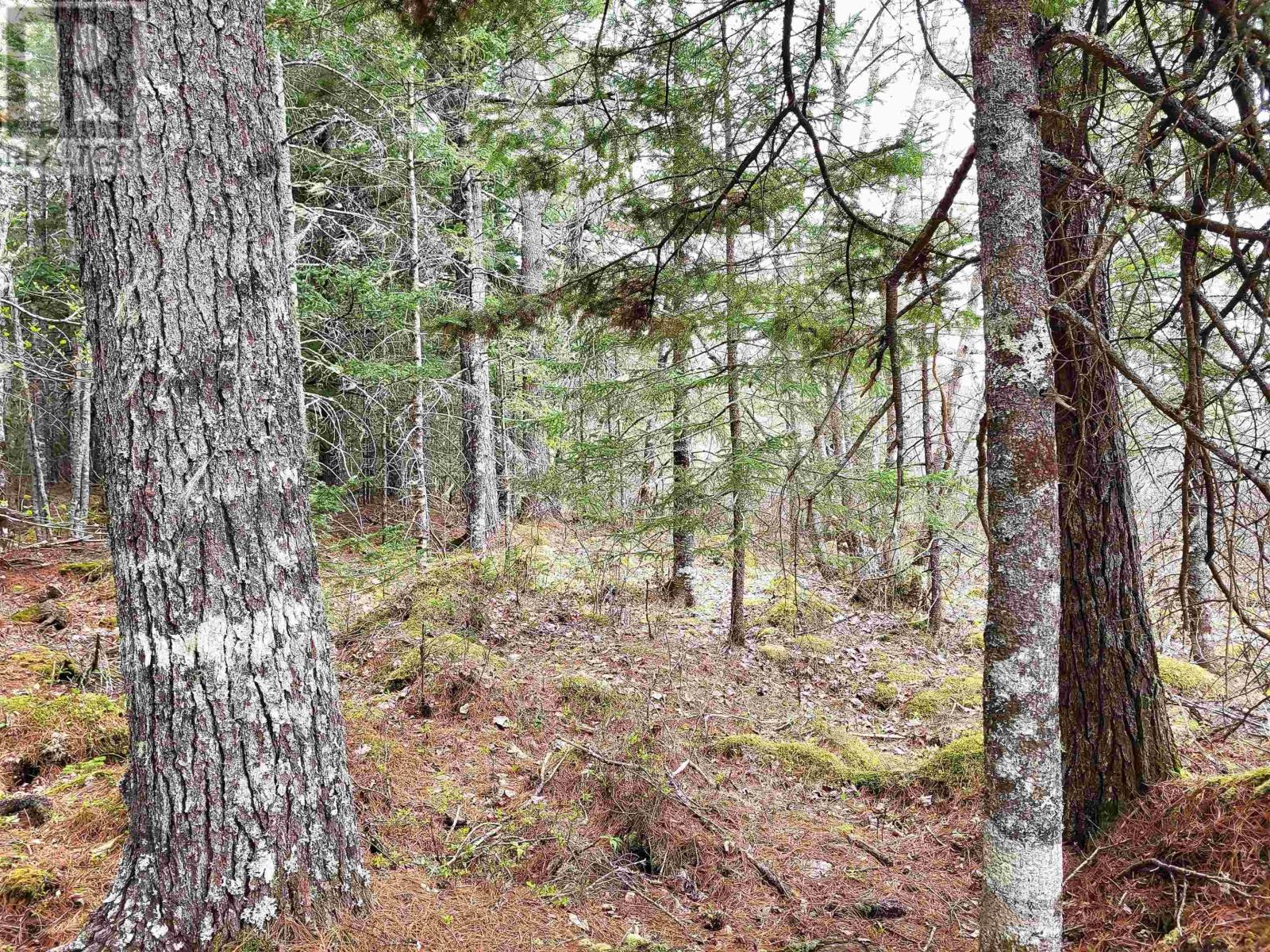 Property 22 of 32 of Lot Hirtle Road