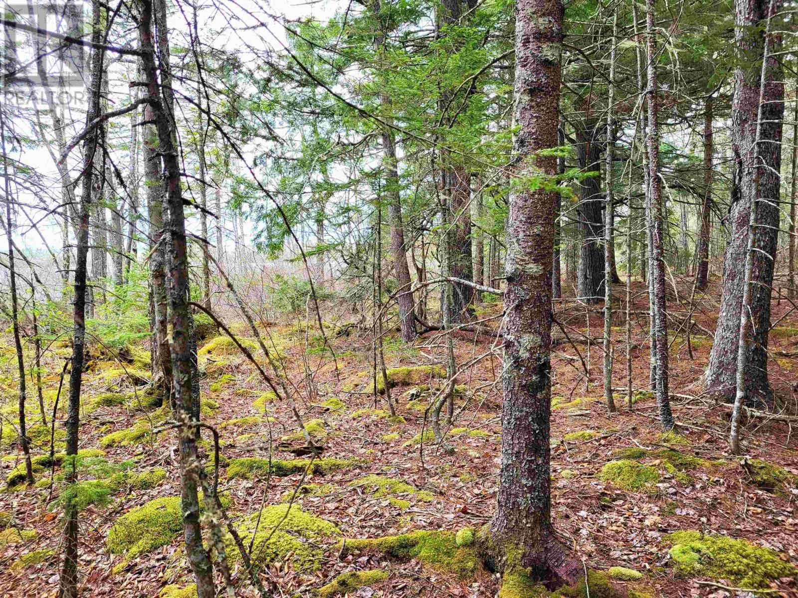 Property 23 of 32 of Lot Hirtle Road