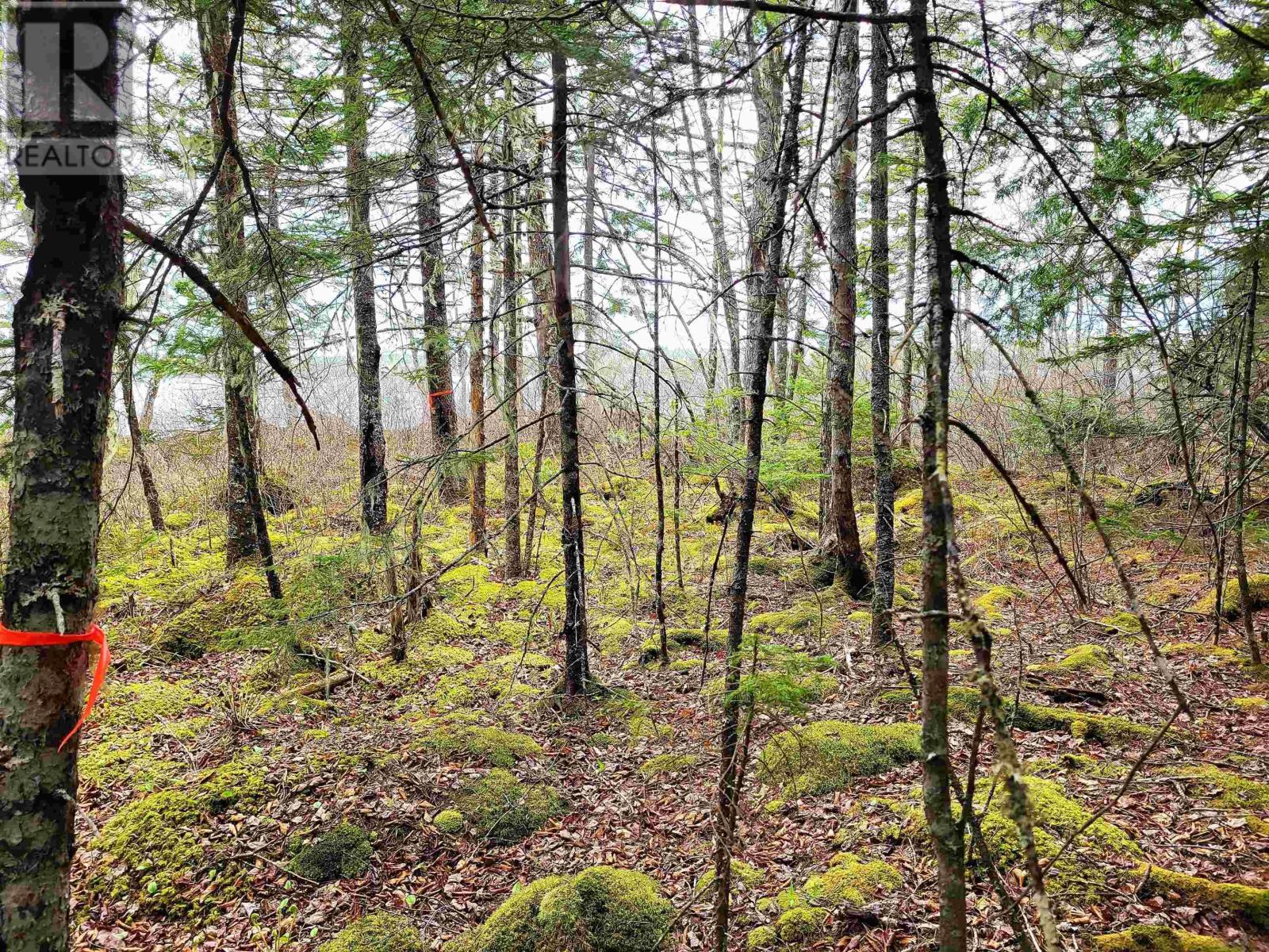 Property 24 of 32 of Lot Hirtle Road