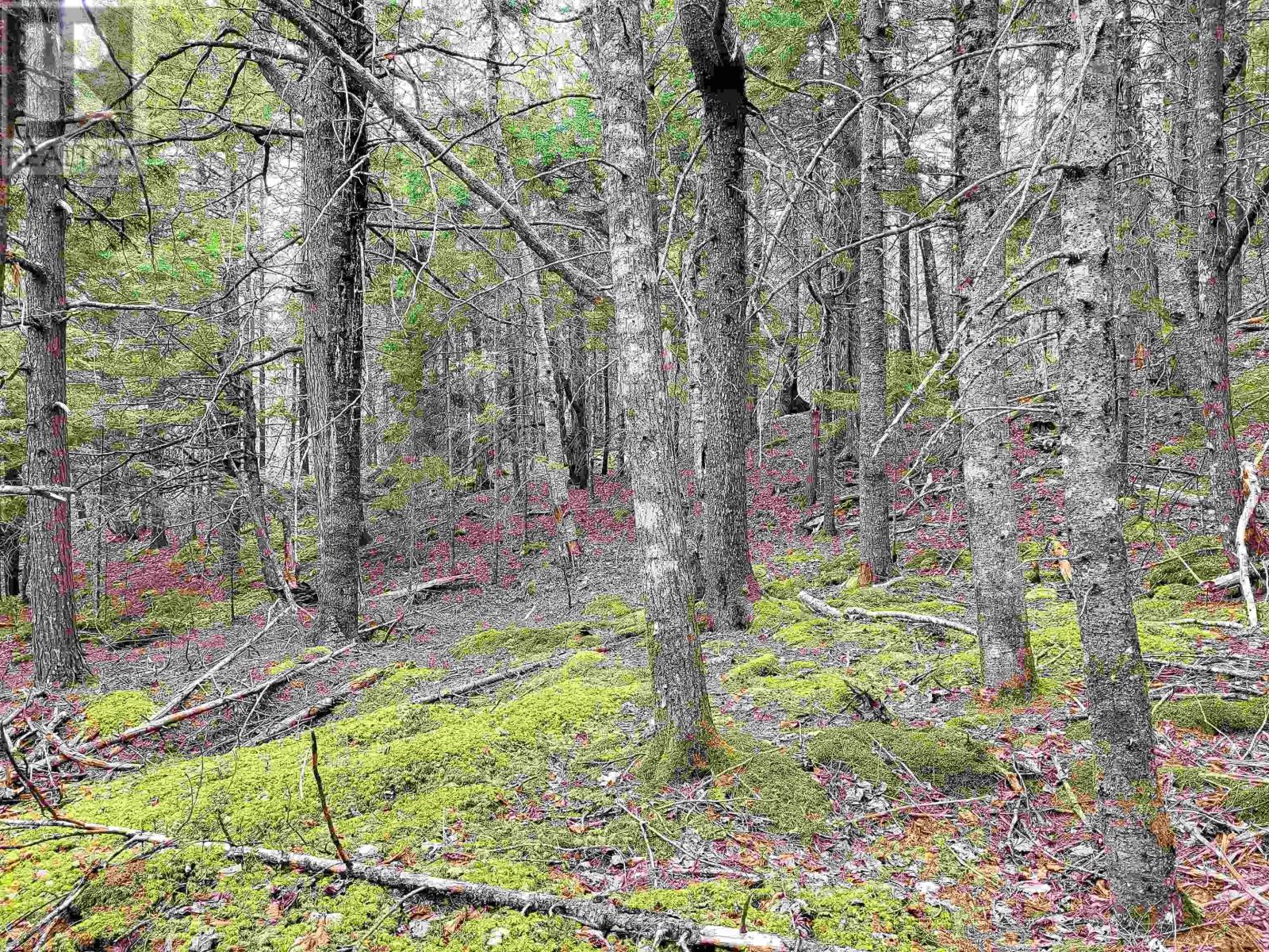 Property 25 of 32 of Lot Hirtle Road