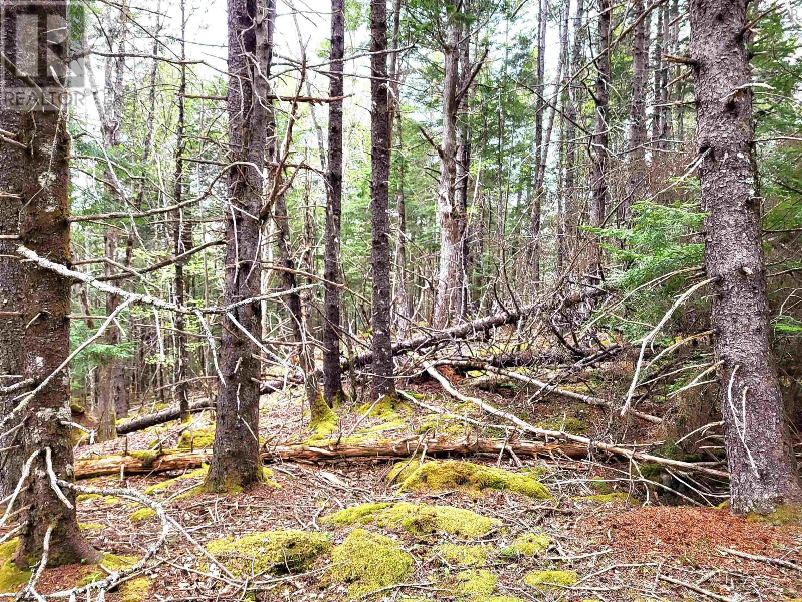 Property 26 of 32 of Lot Hirtle Road