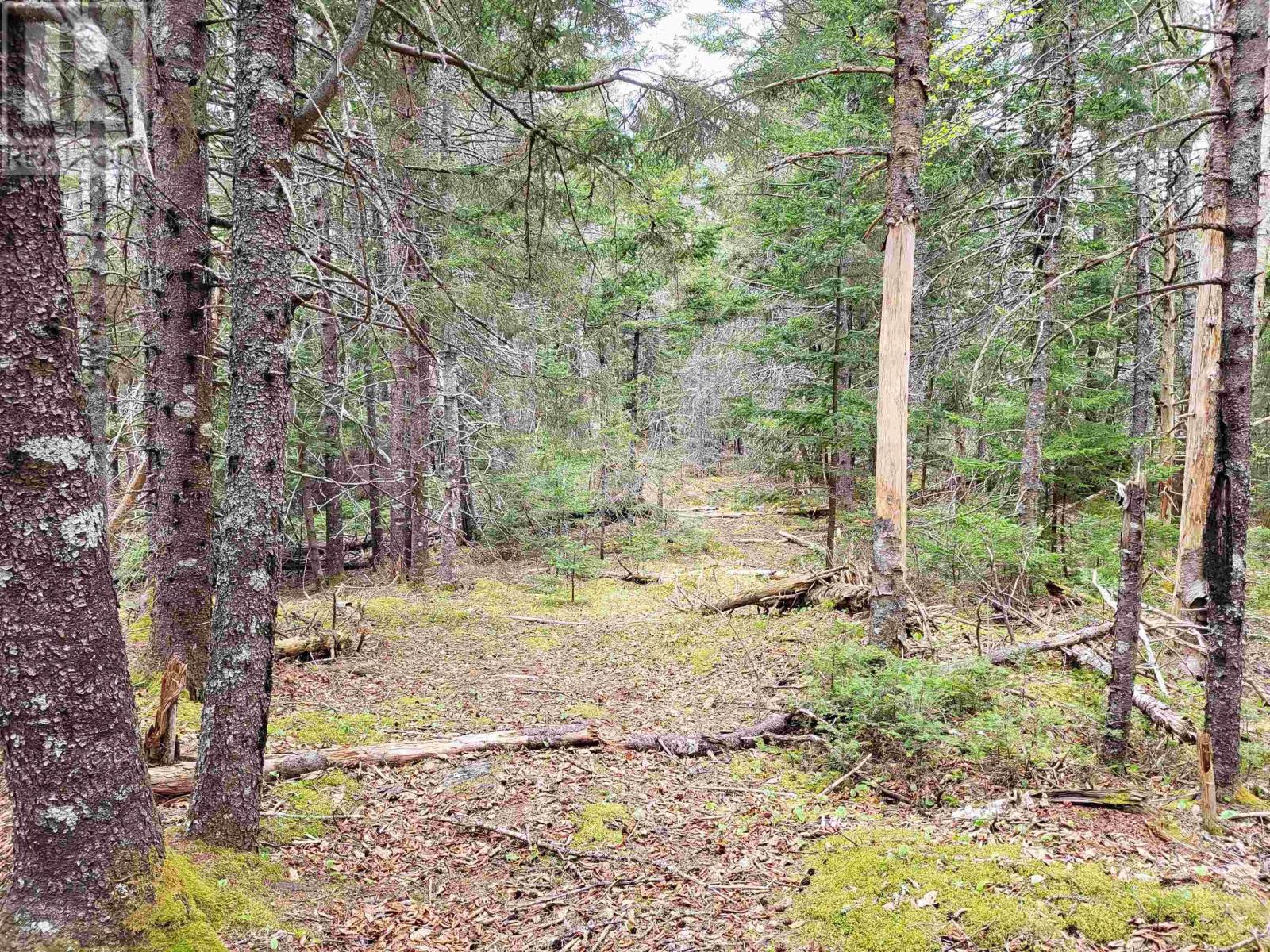 Property 28 of 32 of Lot Hirtle Road