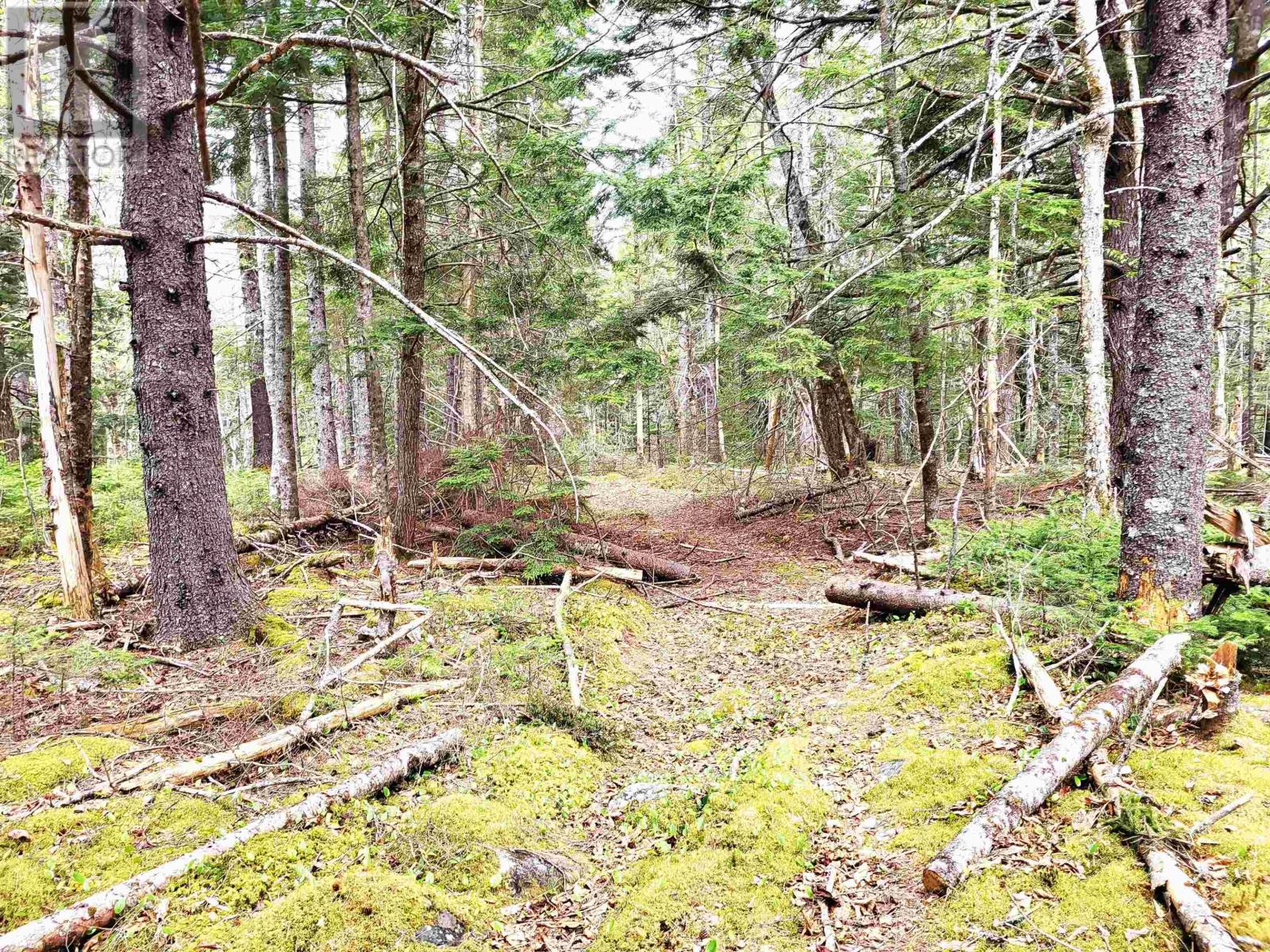 Property 30 of 32 of Lot Hirtle Road