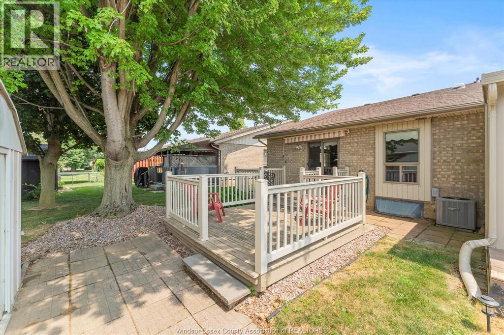 336 ROCKPORT - 29