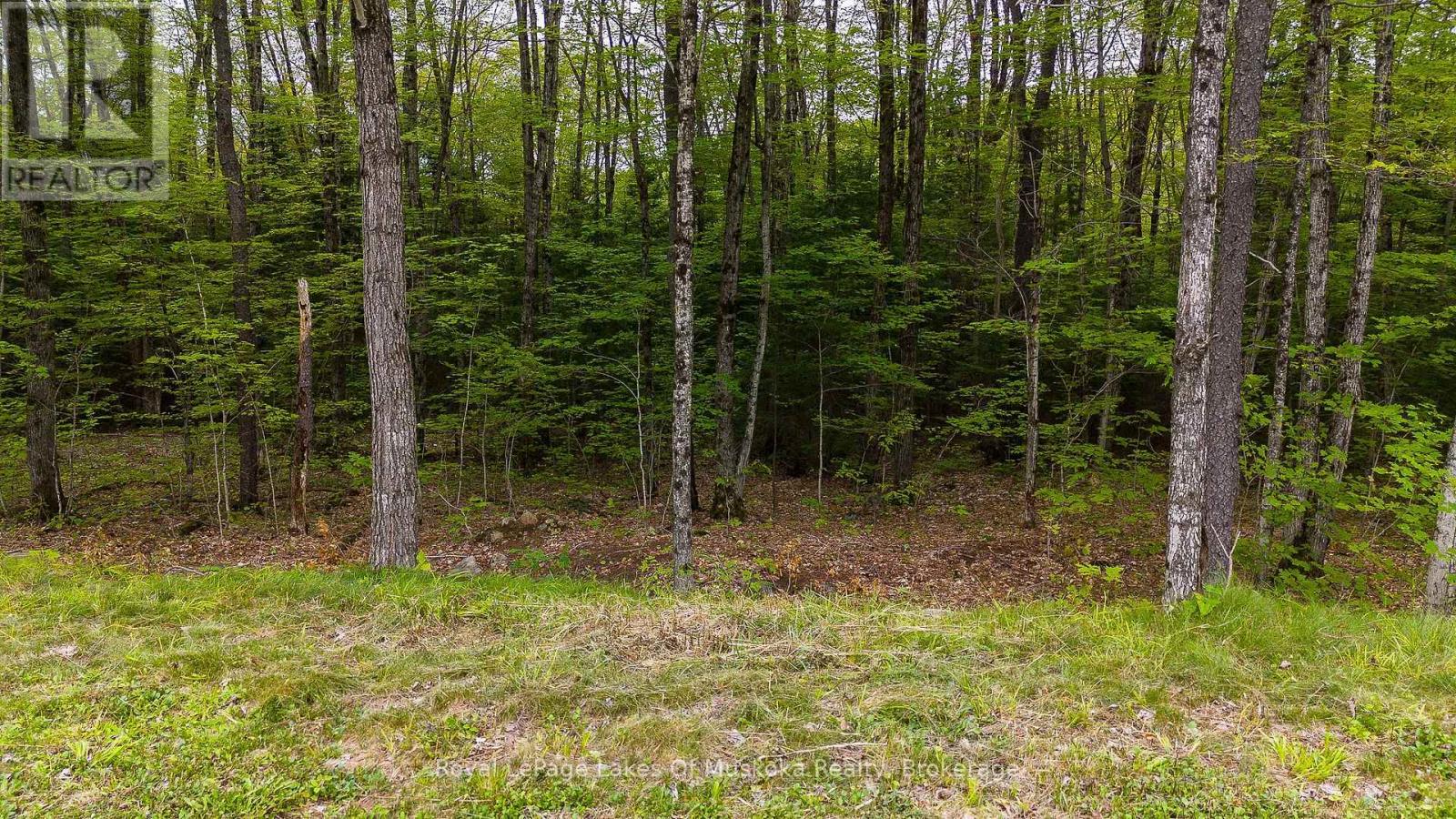 Lot 11 Millie's Way, Armour, Ontario, P0A1C0, Armour, Ontario — photo 4 of 5