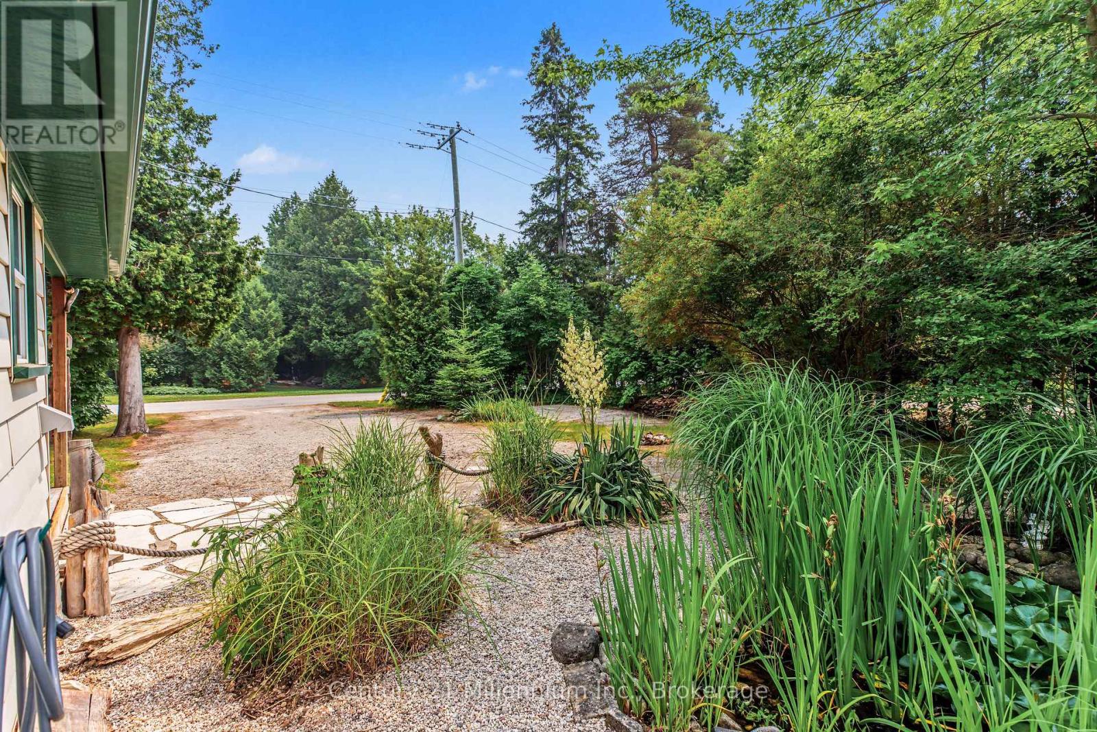 355 SPENCE STREET - 41