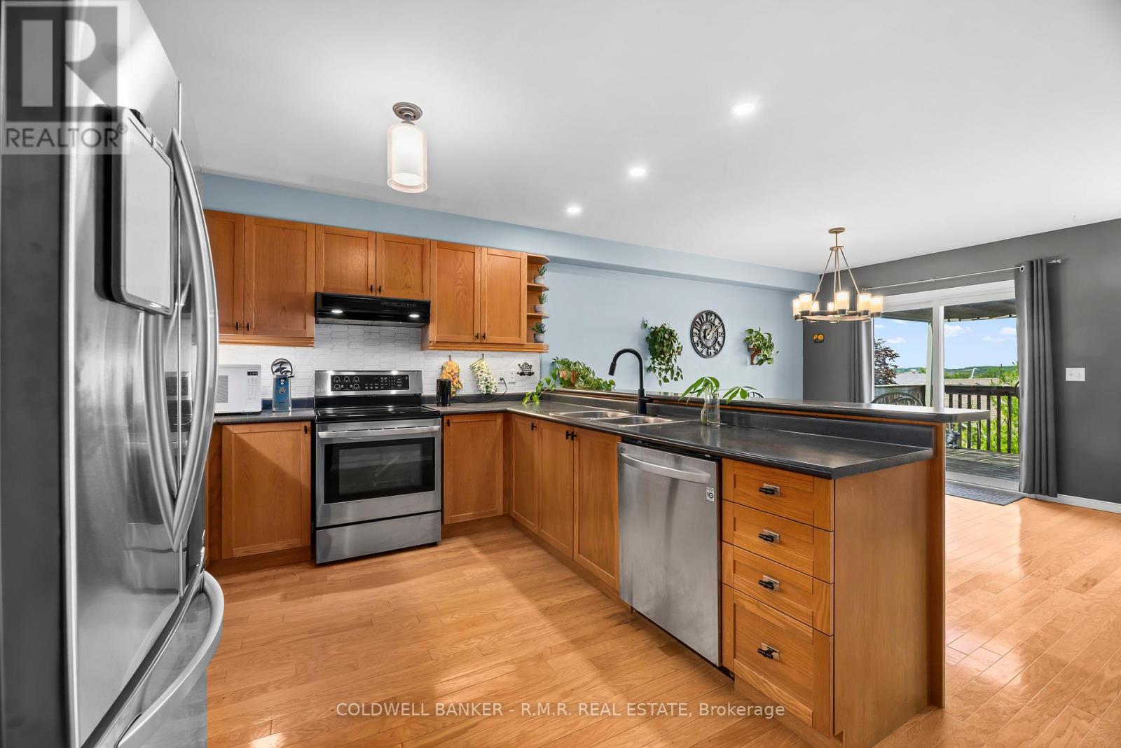 1294 HAGGIS DRIVE - 7