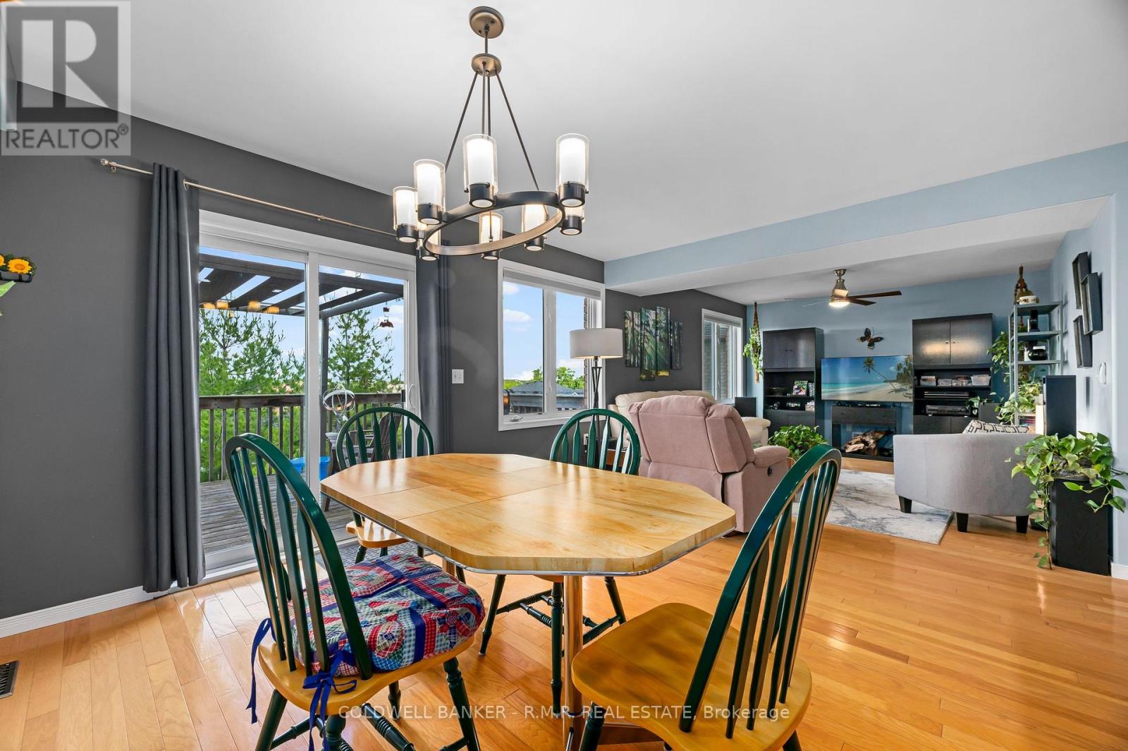 1294 HAGGIS DRIVE - 8