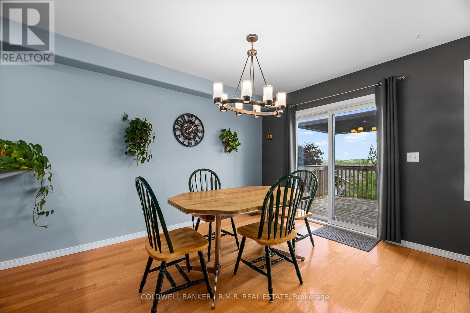 1294 HAGGIS DRIVE - 9