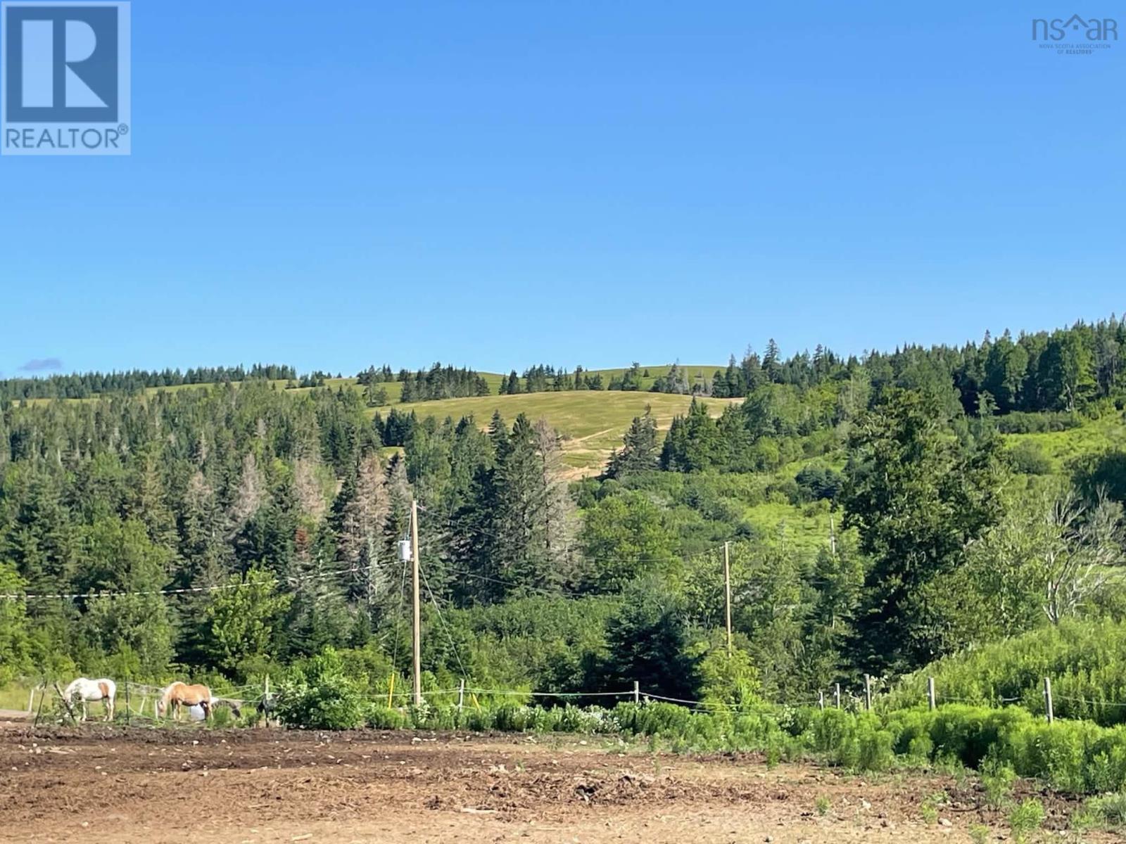 23-1 48 Blue Mountain Loop, Blue Mountain — photo 3
