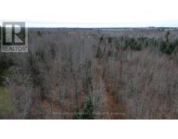 710 Westmeath Road, Whitewater Region, ON K8A6W2 Photo 12