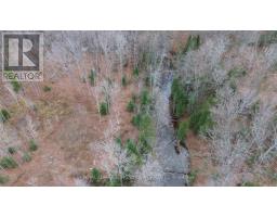 710 Westmeath Road, Whitewater Region, ON K8A6W2 Photo 14