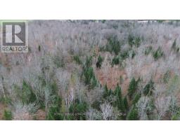 710 Westmeath Road, Whitewater Region, ON K8A6W2 Photo 15
