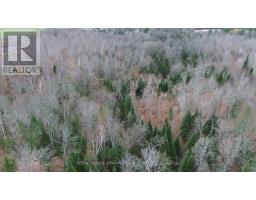 710 Westmeath Road, Whitewater Region, ON K8A6W2 Photo 16