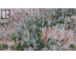 710 Westmeath Road, Whitewater Region, ON K8A6W2 Photo 17