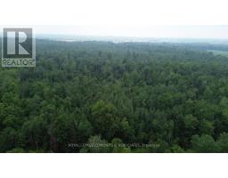 710 Westmeath Road, Whitewater Region, ON K8A6W2 Photo 7