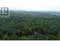 710 Westmeath Road, Whitewater Region, ON K8A6W2 Photo 8